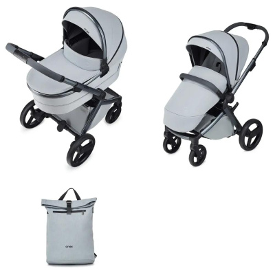 Коляска 2 в 1 Anex l/type (lt-10t) Frost с аксессуарами 01